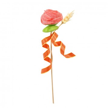ROSA CHUCHES