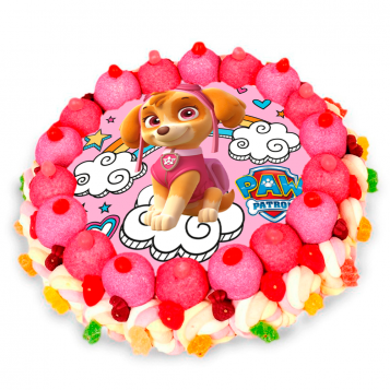 TARTA MEDIANA PATRULLA CANINA ROSA