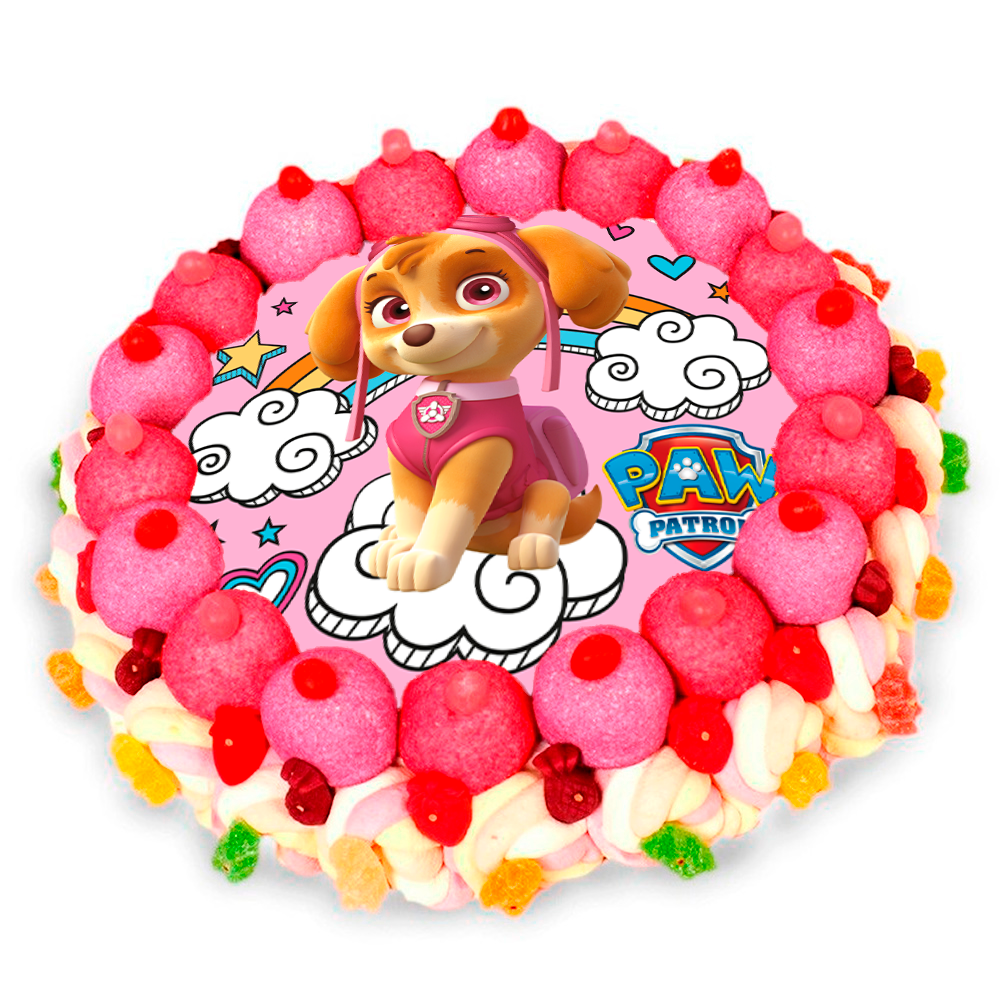 TARTA INFANTIL PATRULLA CANINA